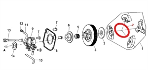 Я50 Пружина сцепления 137/142 17137165 - фото 34002