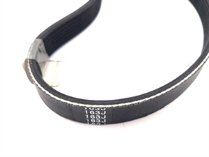 Р1 Ремень пер.хода BC5602/5602BS 7PJ-163 807017 Champion - фото 49454 Р1 Ремень пер.хода BC5602/5602BS 7PJ-163 807017 Champion - фото 49454