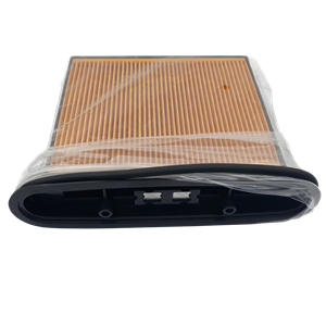 Фильтр складчатый BGPM-25 для пылесоса BOSCH 2607432014 - фото 53190