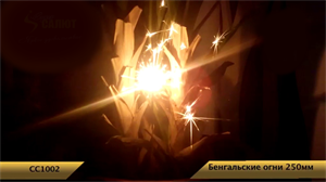 Бенгальские огни СС1002 250мм - фото 56312