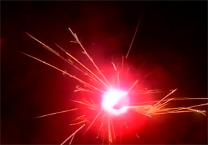 Вертушки р3520 Веселый жук - фото 60896