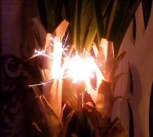 Бенгальские огни СС1003 Горячие штучки 210мм - фото 67340