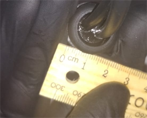 Я58 Уплотнение топливных шлангов 237,241,251,256 YD3800-18104 Champion - фото 67972