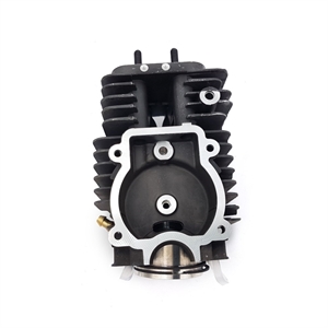 Ж106 Цилиндр с поршнем d43 мм 4180-020-1210 - фото 69959