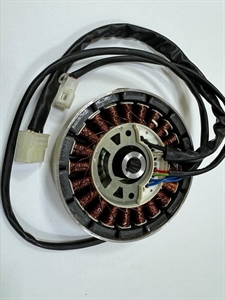 Статор с ротором в сборе - для БИГ 1000 0103019600 - фото 81714